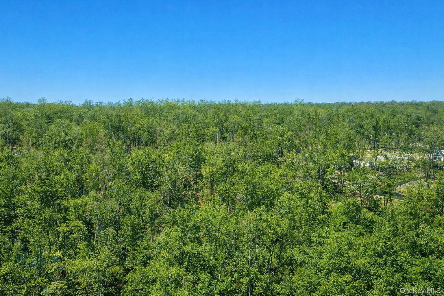 TBD County Route 12 – For Sale photo 4