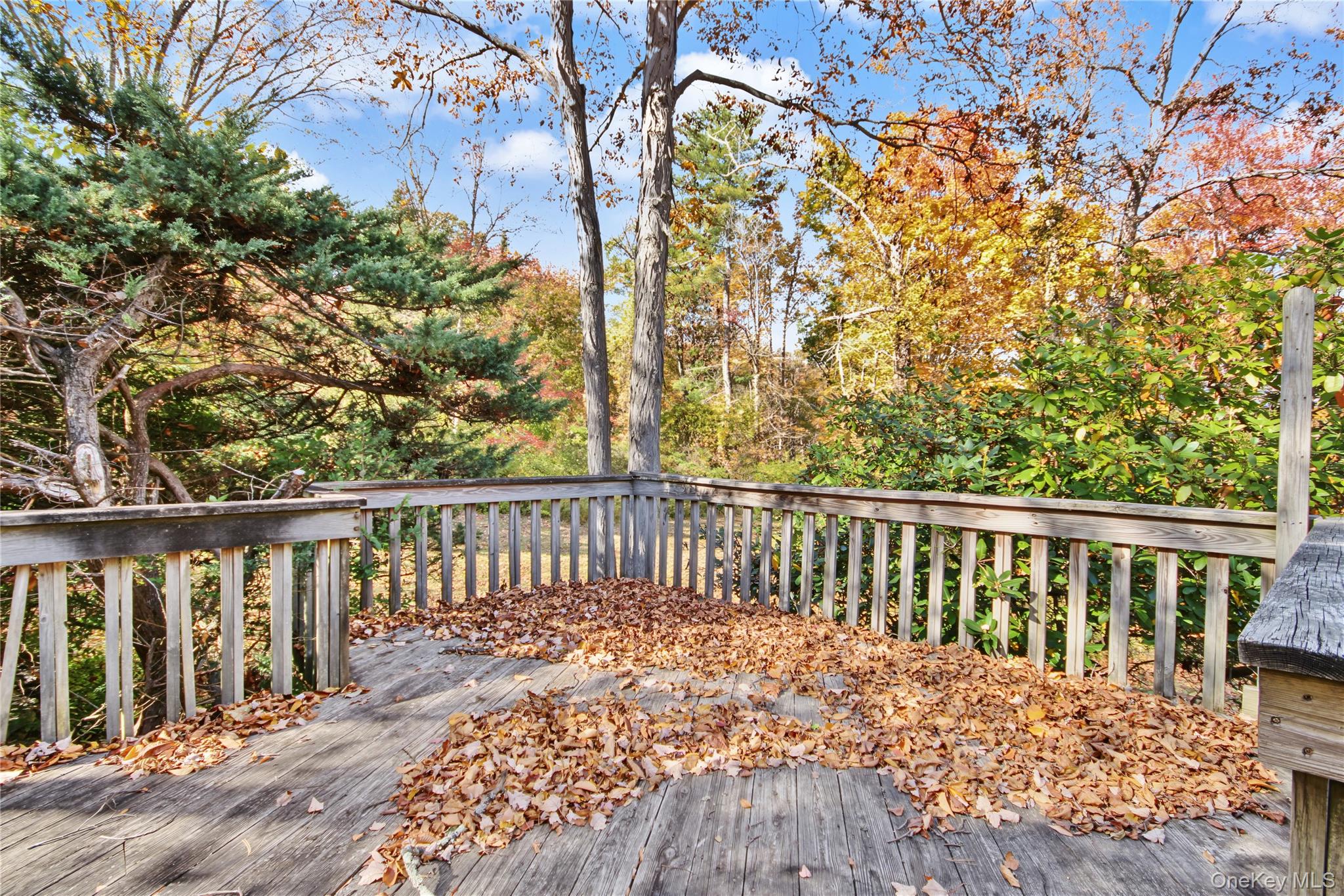 224 Longfellow Drive – For Sale photo 15