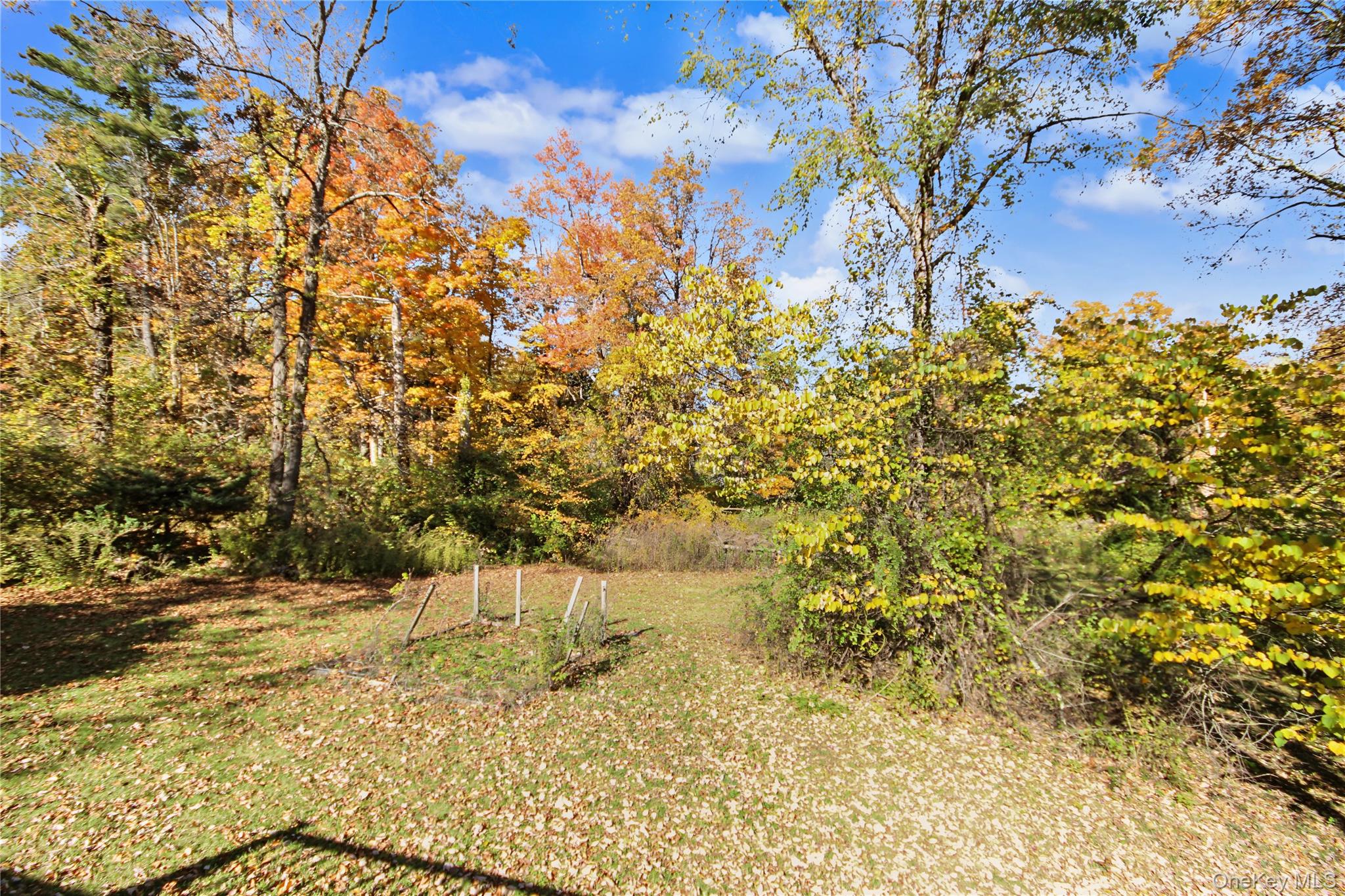 224 Longfellow Drive – For Sale photo 17