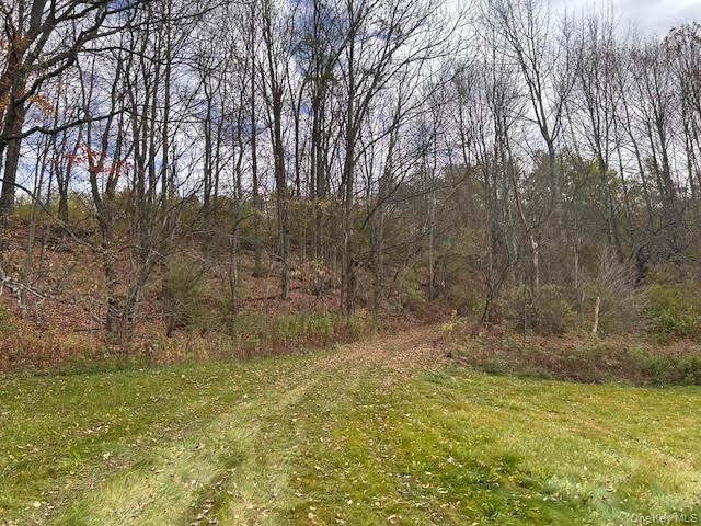 480 County Highway 37 County Highway 37 Highway – For Sale photo 17