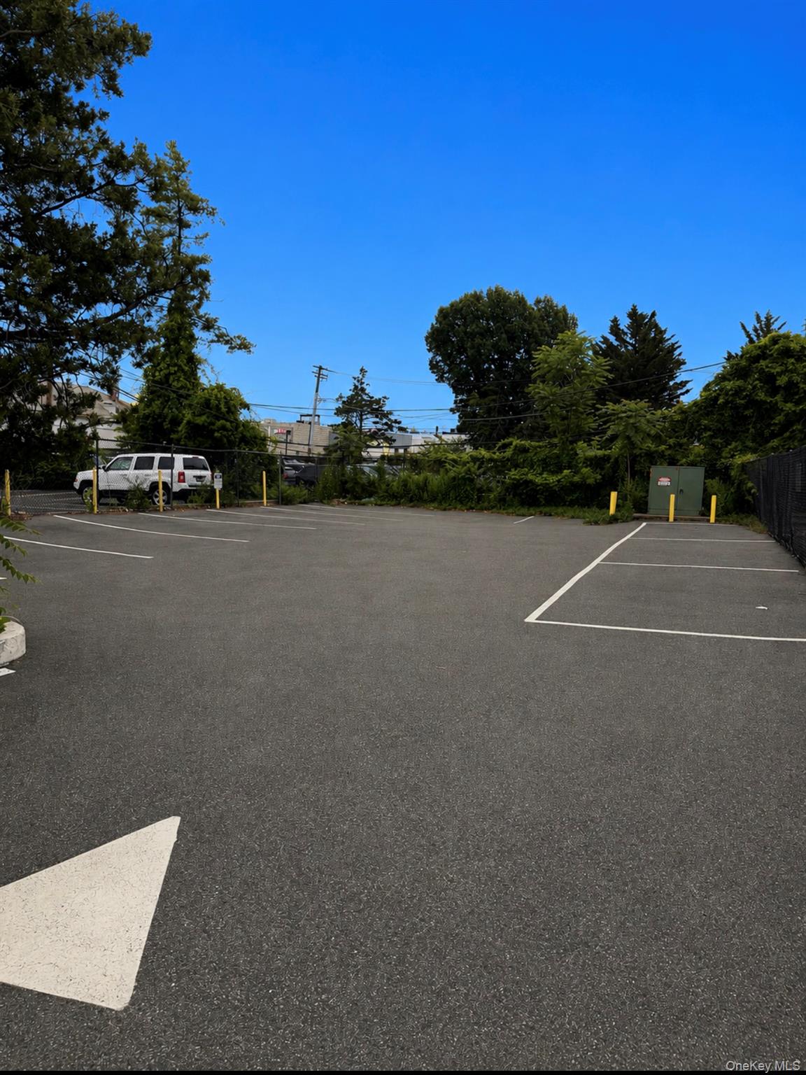19 Morris Avenue – For Sale photo 5