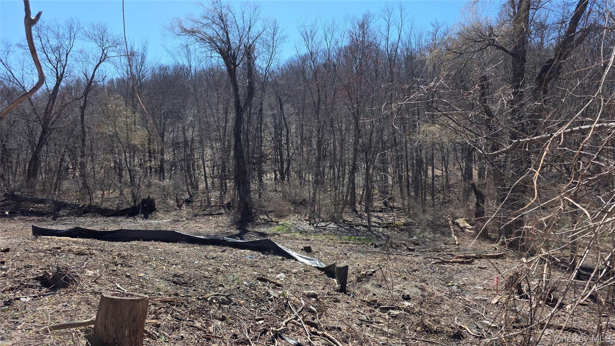 91 Barrett Hill Road – For Sale
