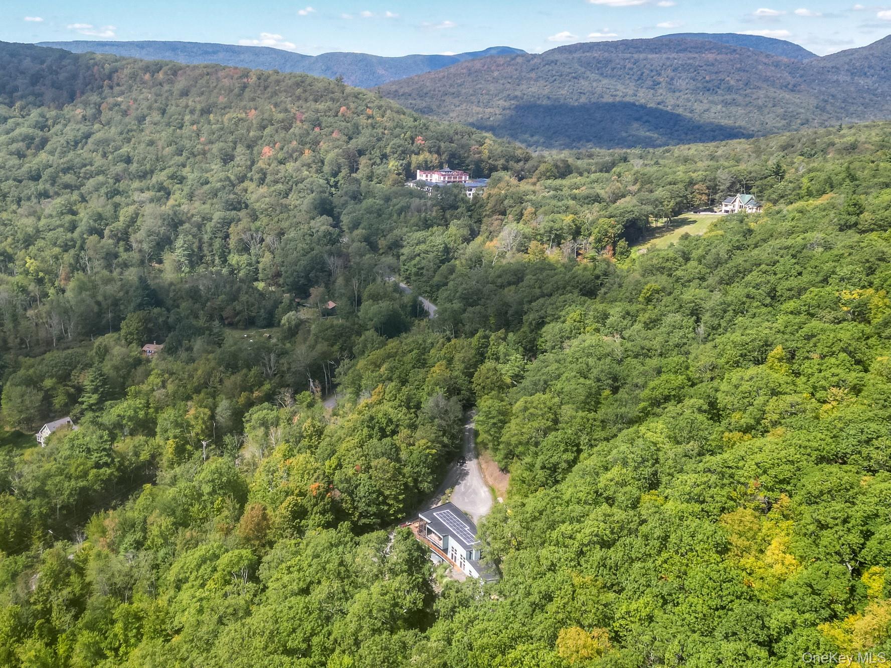 306 Meads Mountain Road – For Sale photo 2