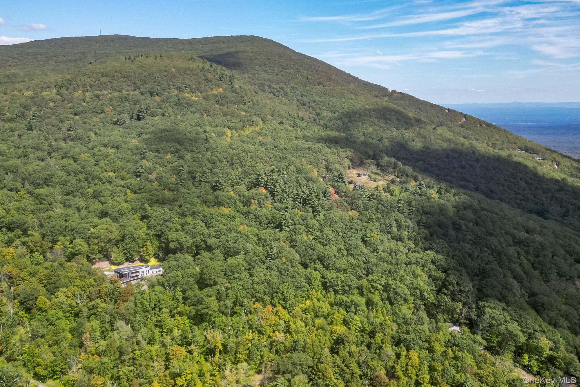 306 Meads Mountain Road – For Sale photo 49