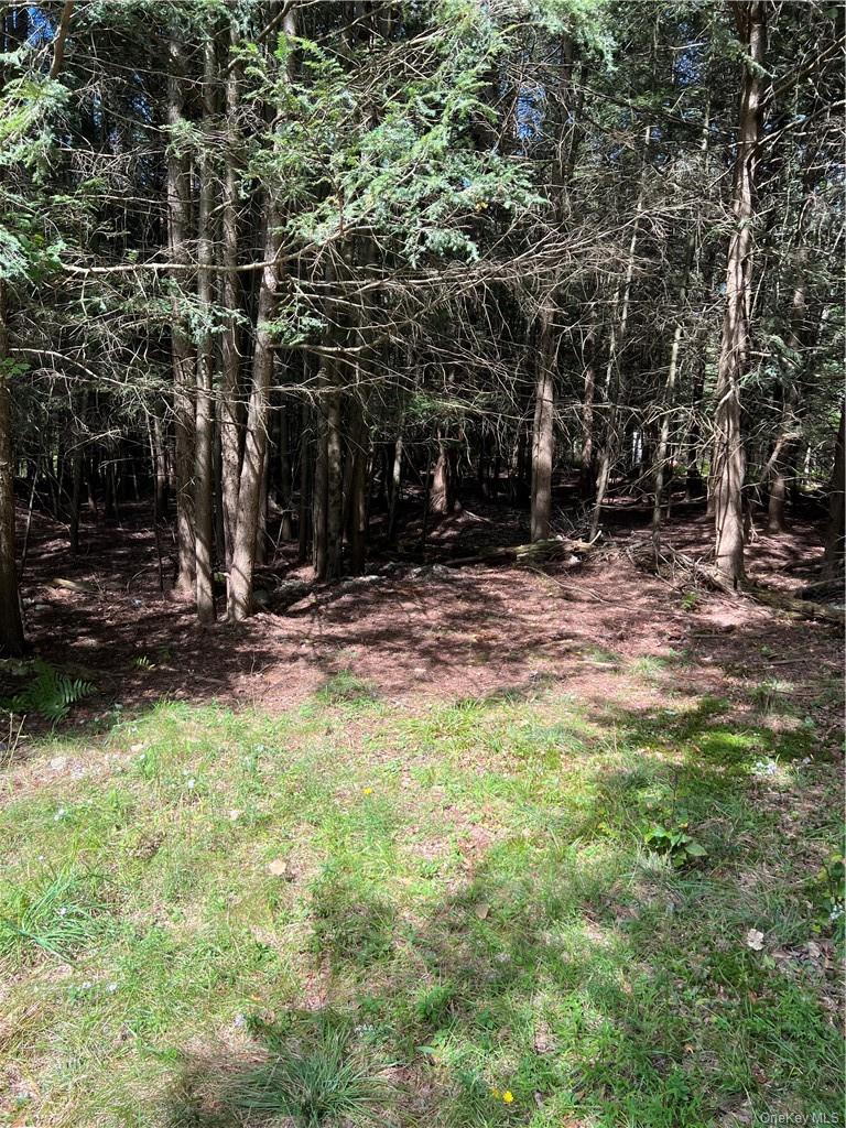 000 Cooper Drive Road – For Sale photo 4
