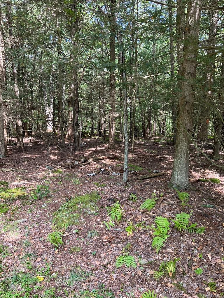 000 Cooper Drive Road – For Sale photo 3
