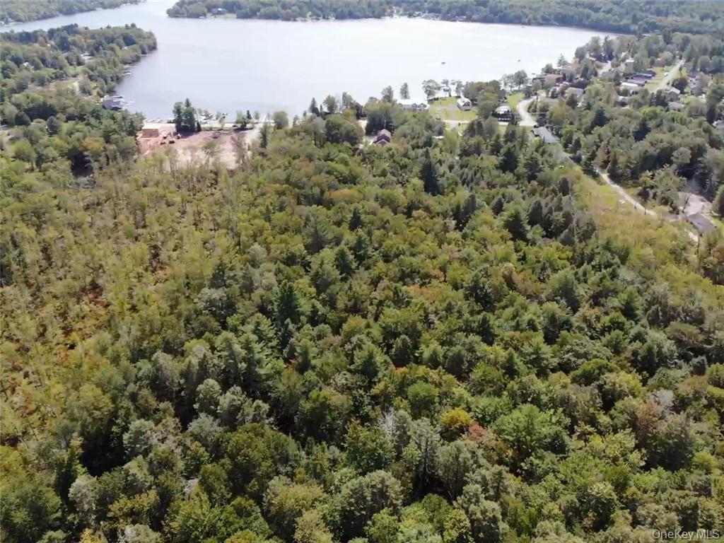 000 Cooper Drive Road – For Sale photo 2