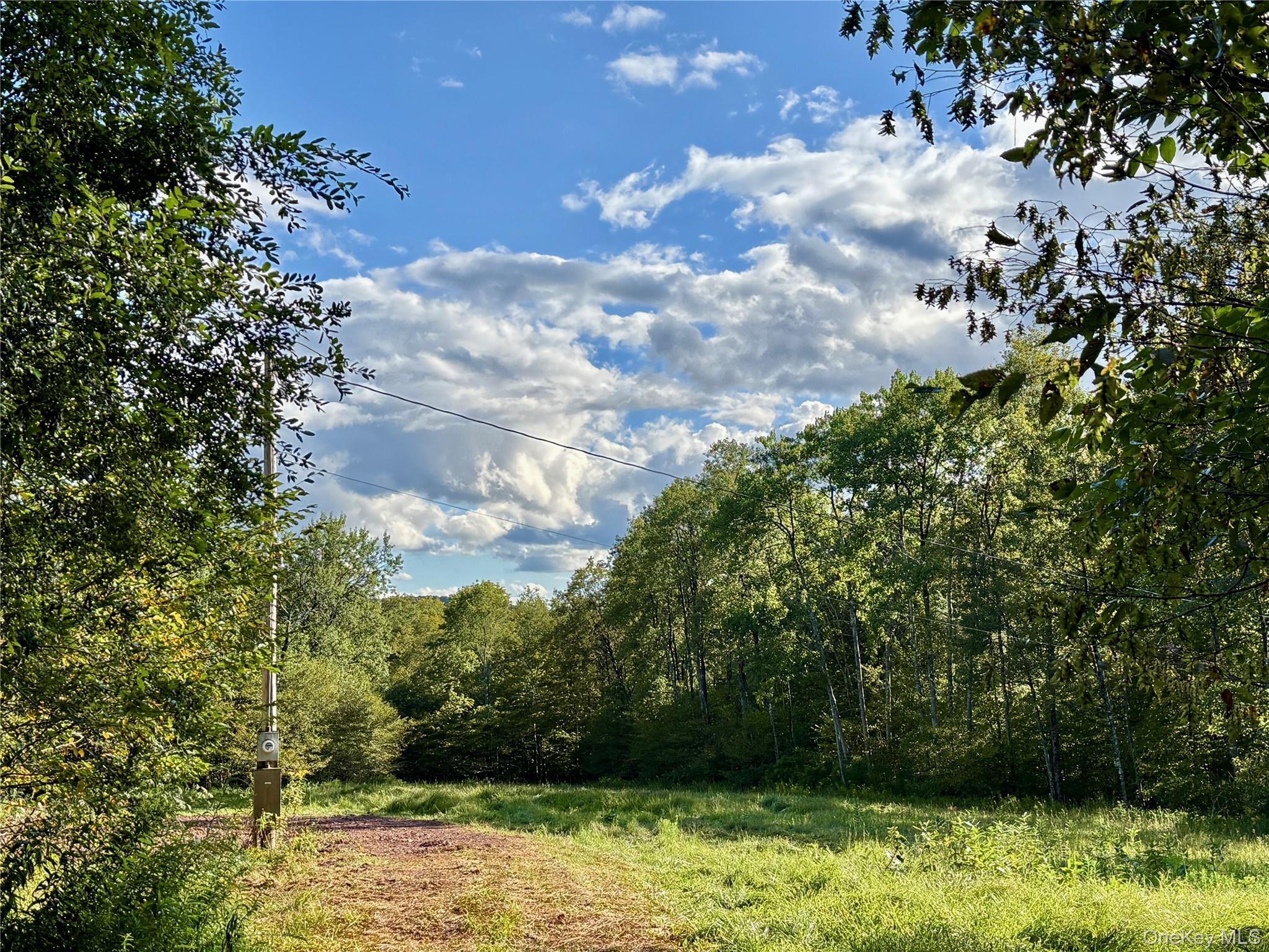216 Neer Road – For Sale photo 3