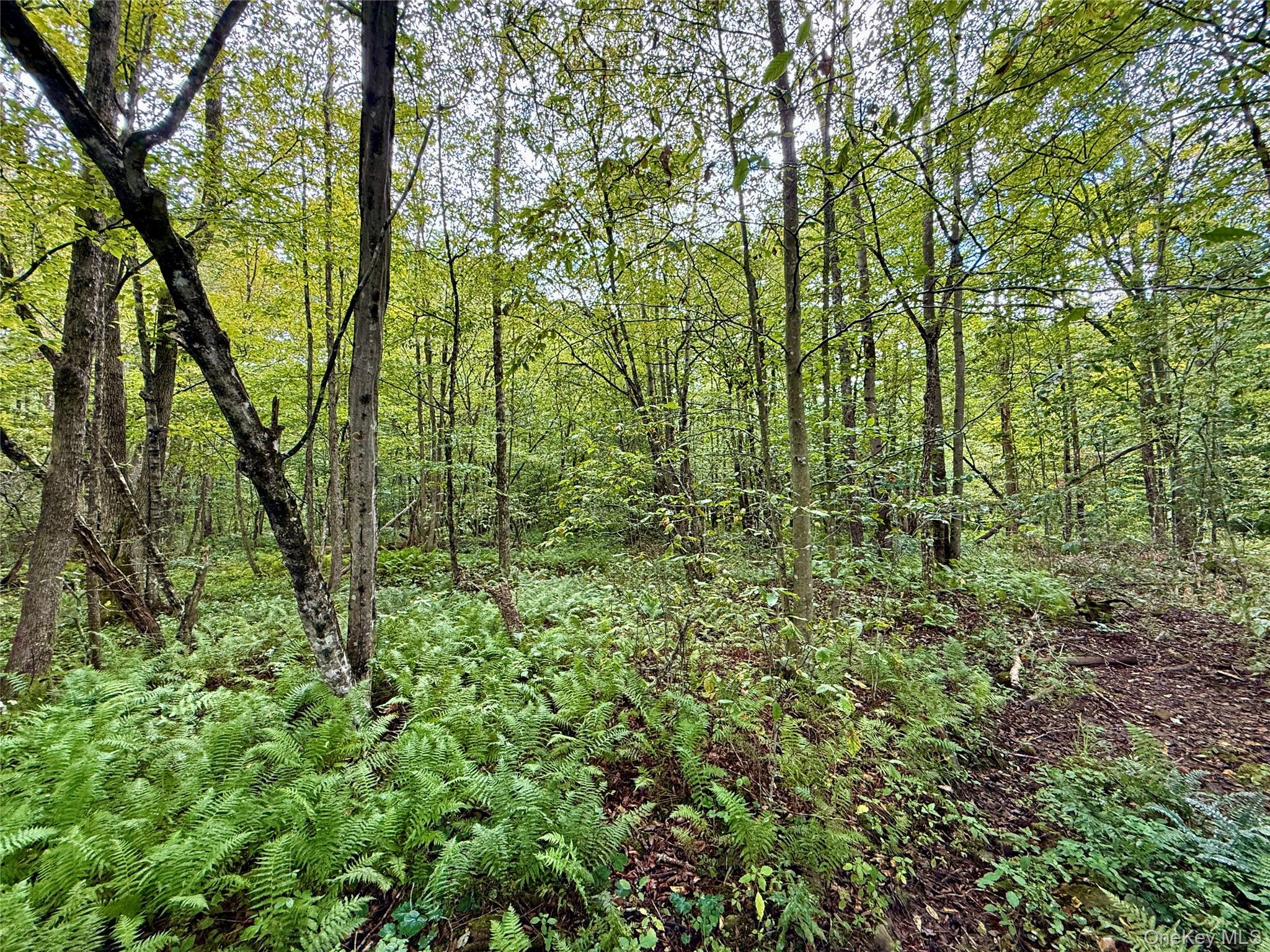 216 Neer Road – For Sale photo 24