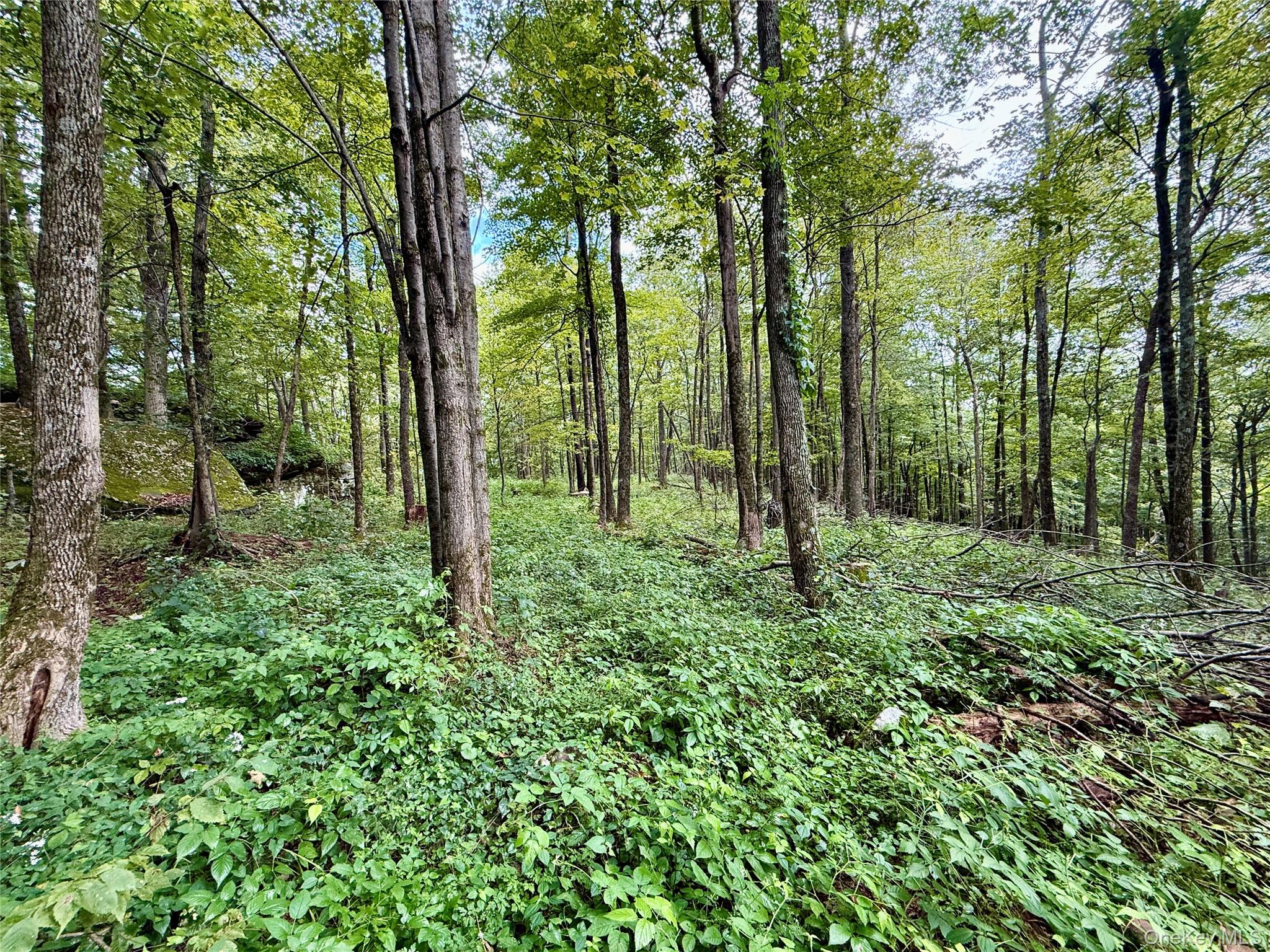 216 Neer Road – For Sale photo 32
