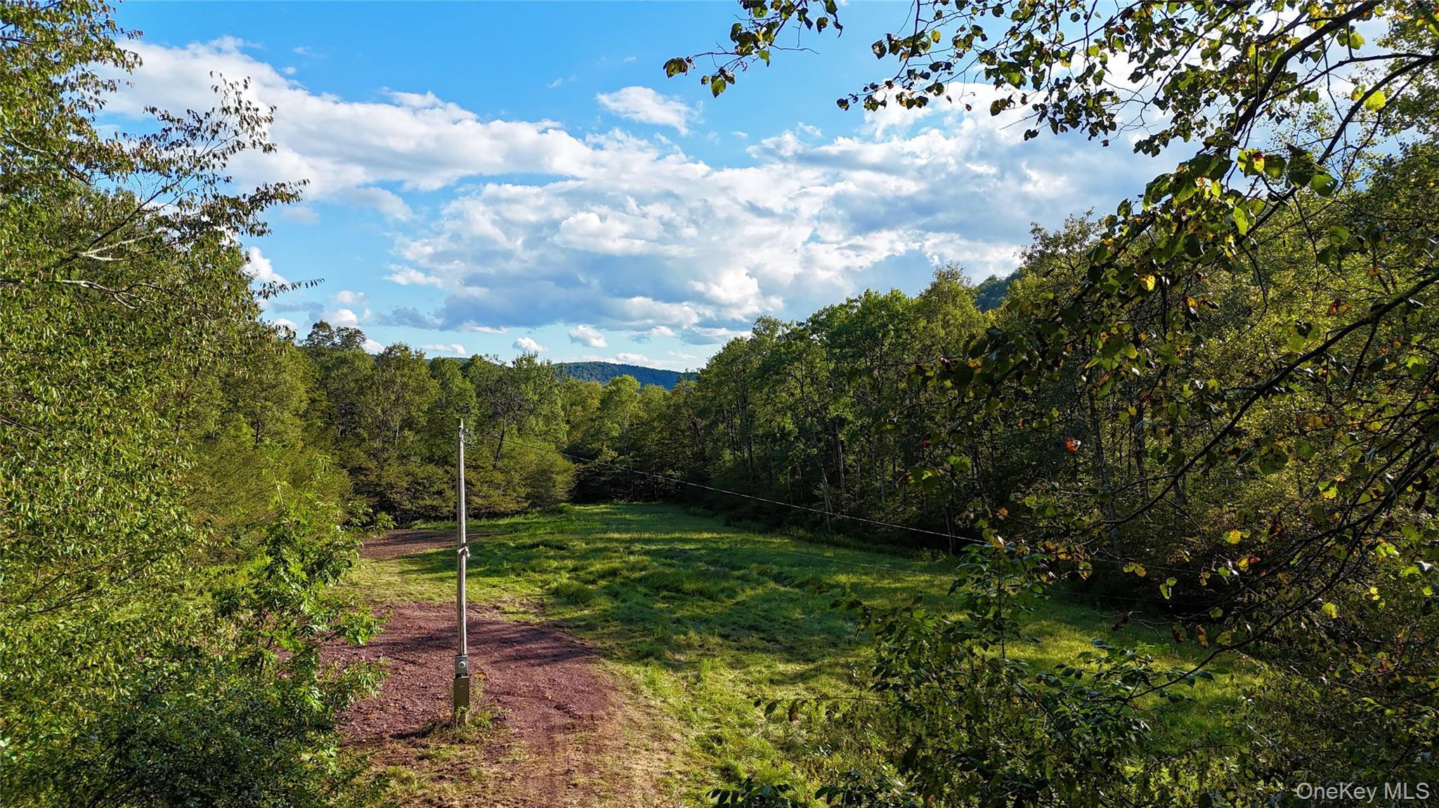 216 Neer Road – For Sale photo 40