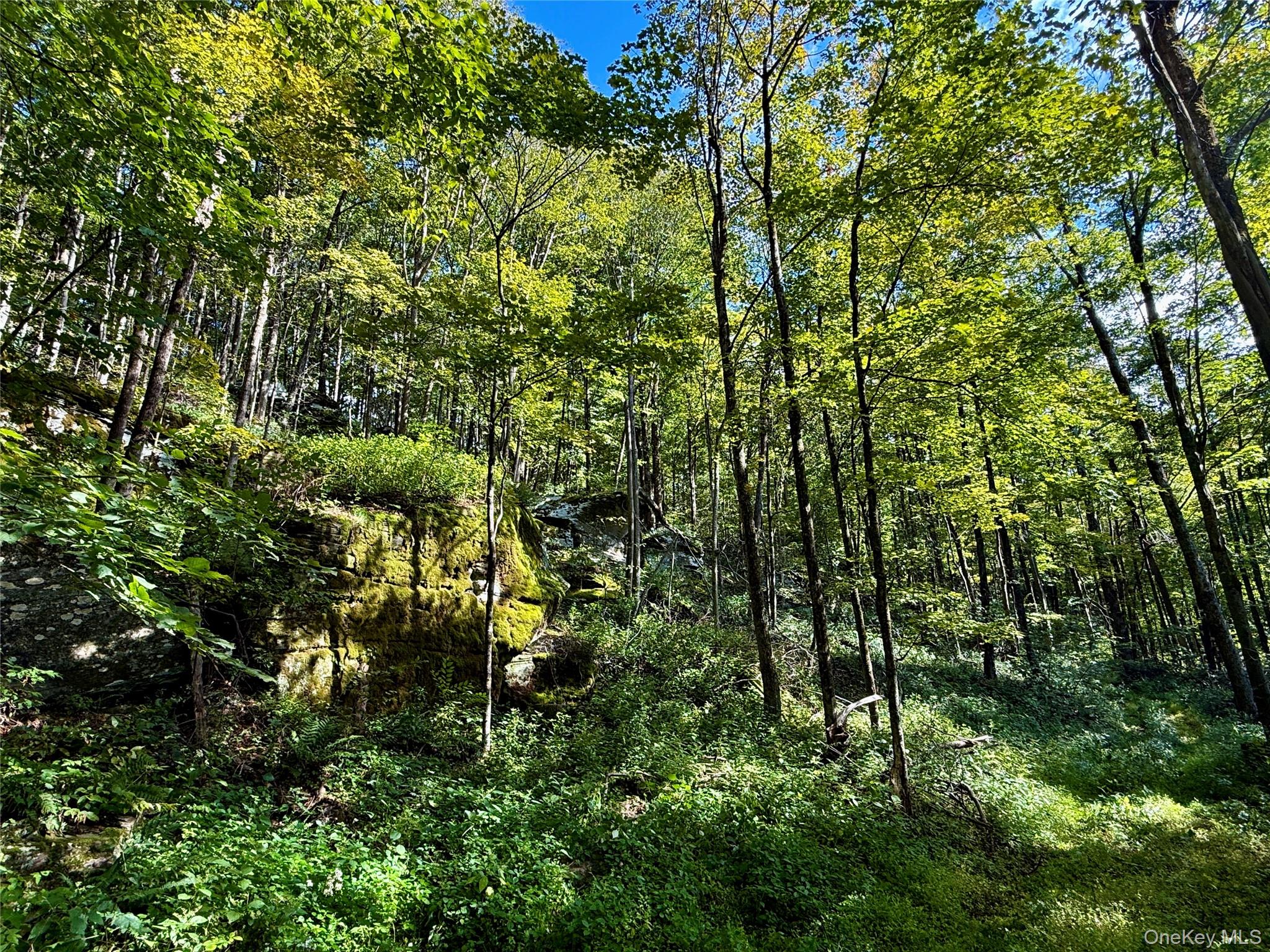 216 Neer Road – For Sale photo 8