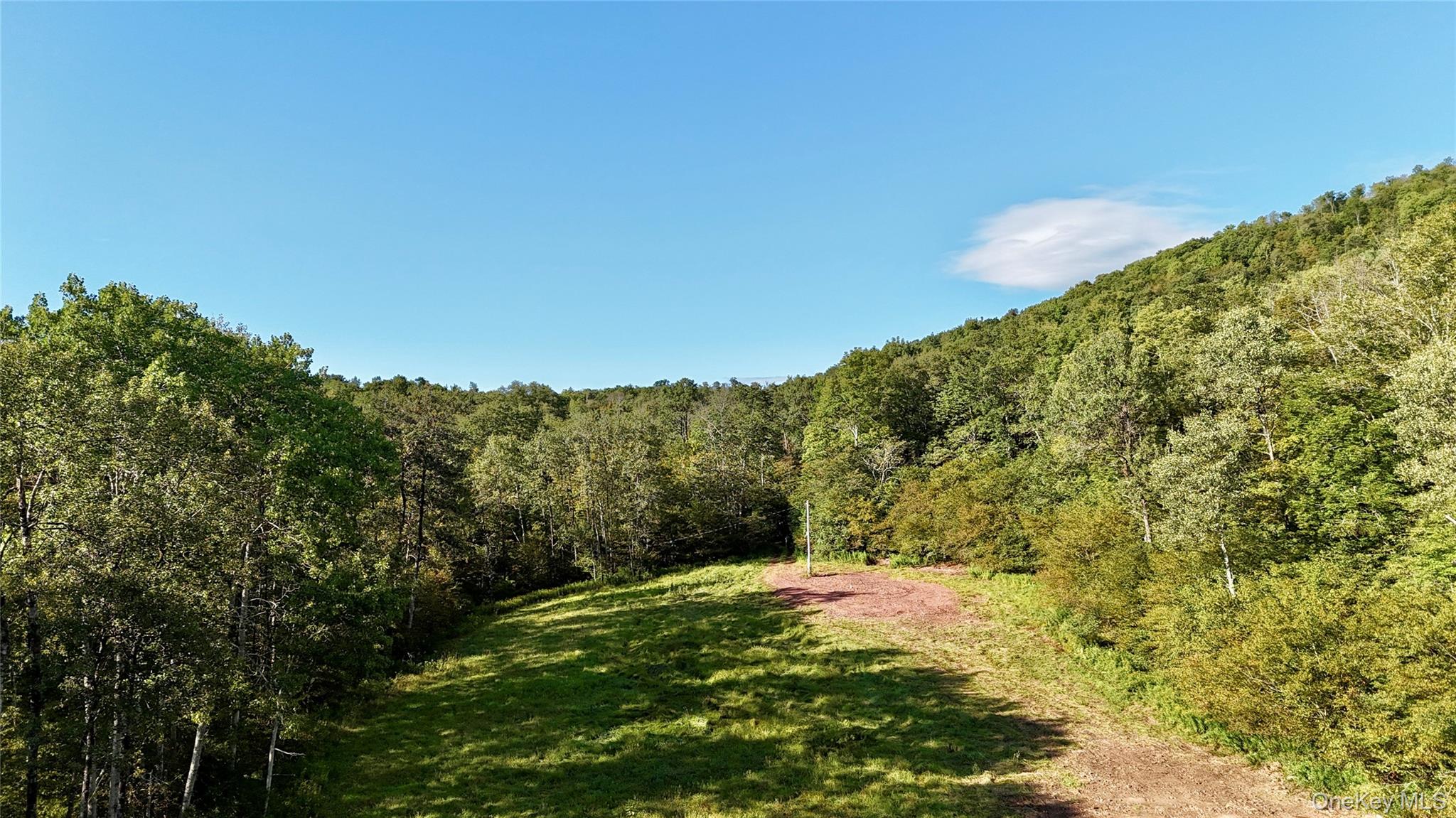 216 Neer Road – For Sale photo 41