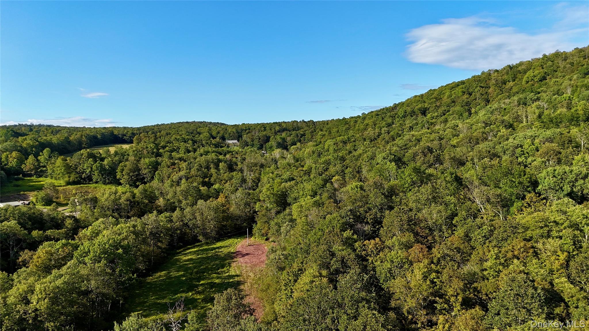 216 Neer Road – For Sale photo 39