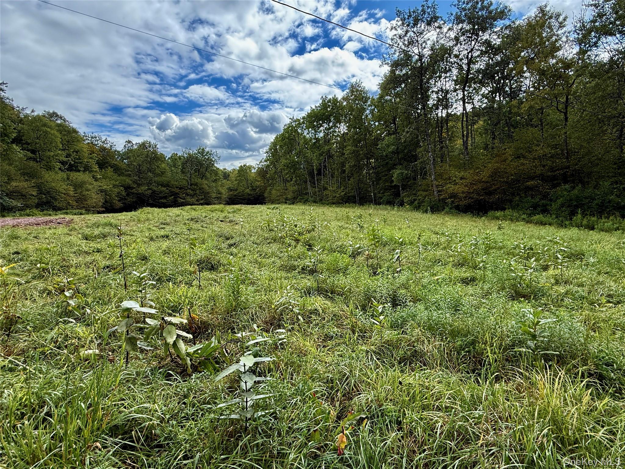 216 Neer Road – For Sale photo 22