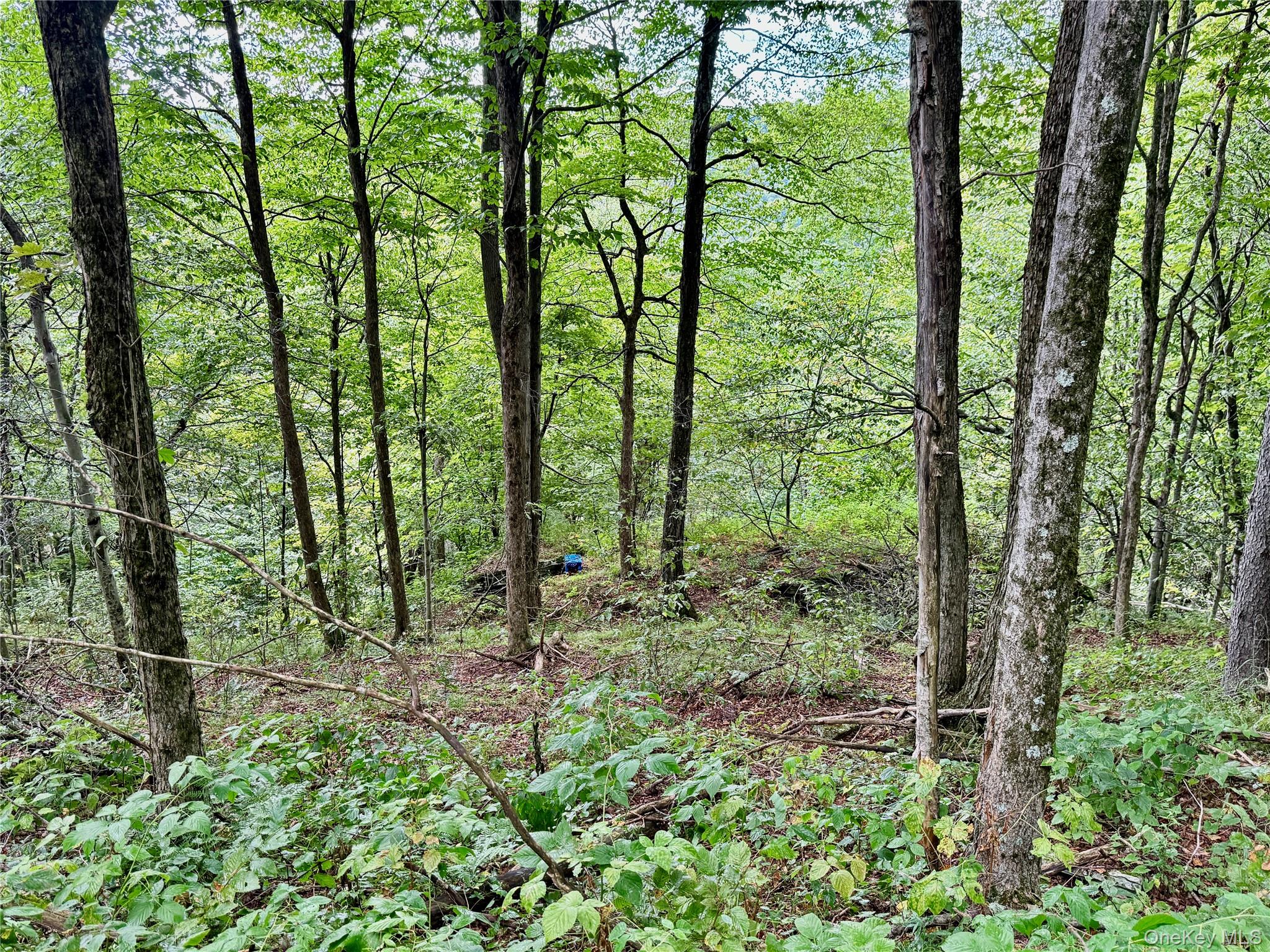 216 Neer Road – For Sale photo 29