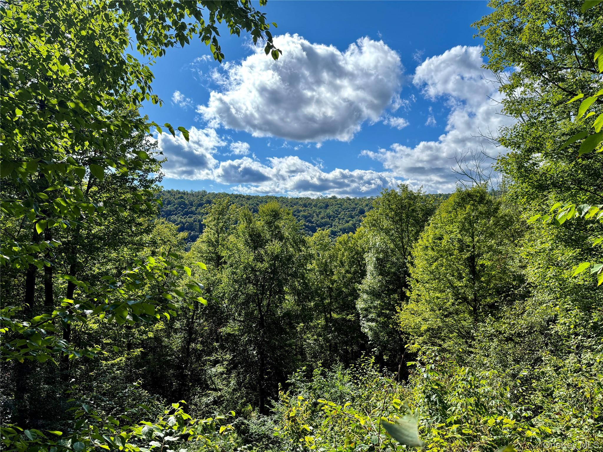 216 Neer Road – For Sale photo 2