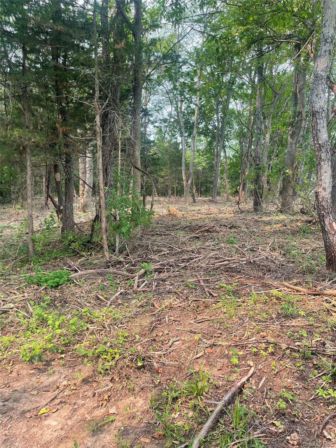 Bells Pond Road – For Sale photo 4