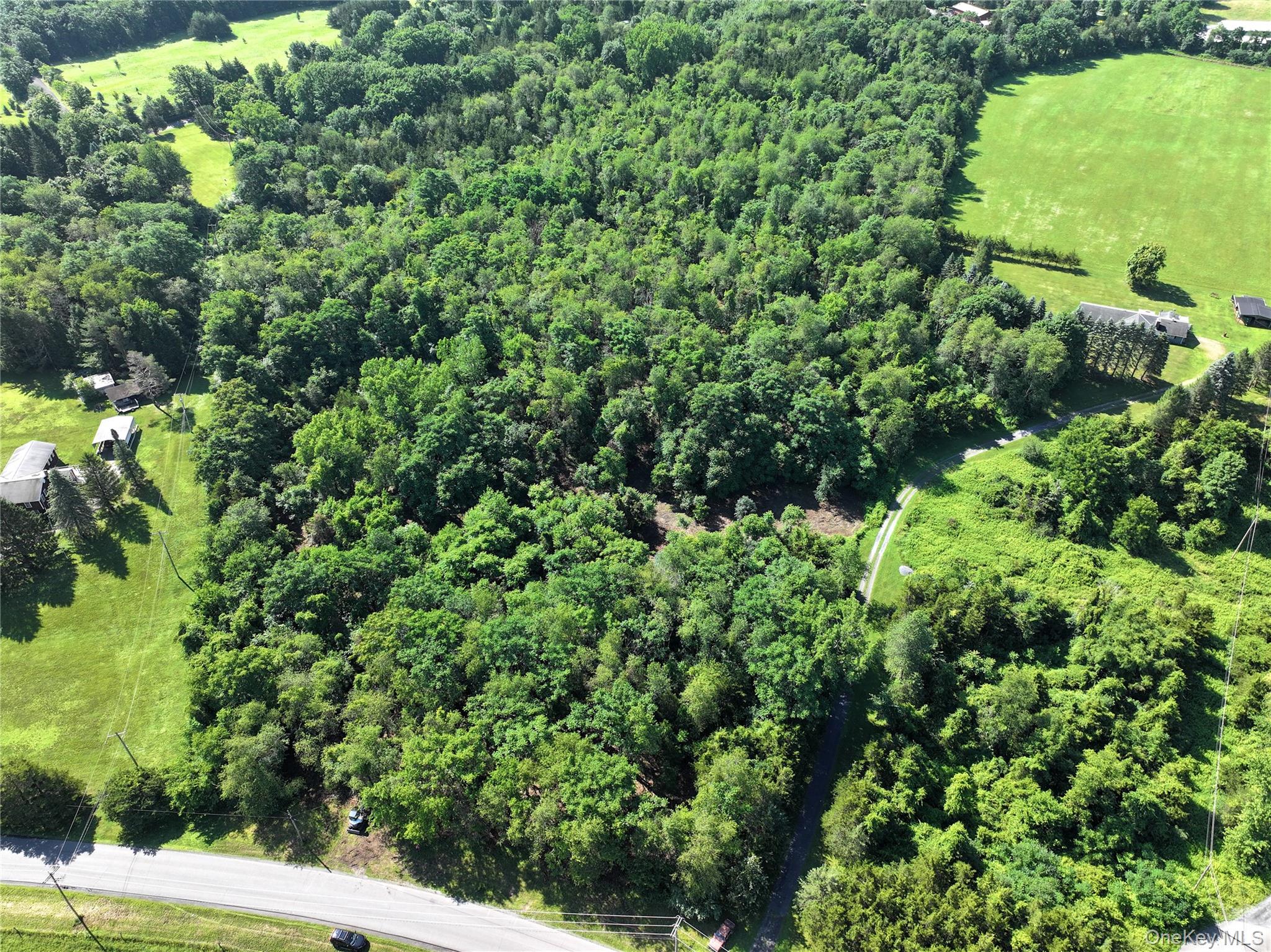 Bells Pond Road – For Sale photo 7