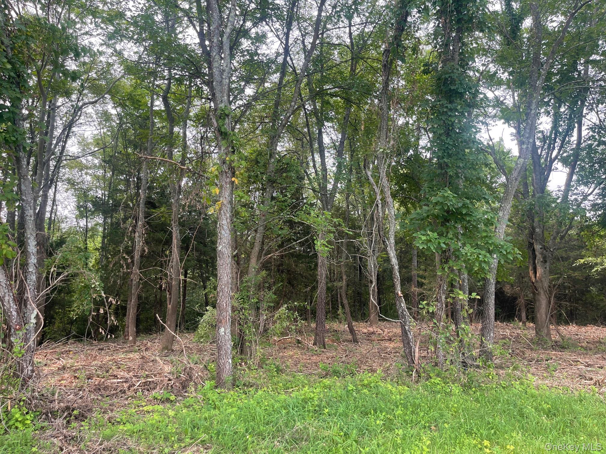 Bells Pond Road – For Sale photo 29