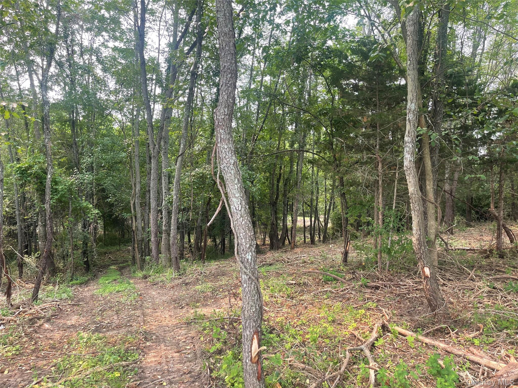 Bells Pond Road – For Sale photo 3