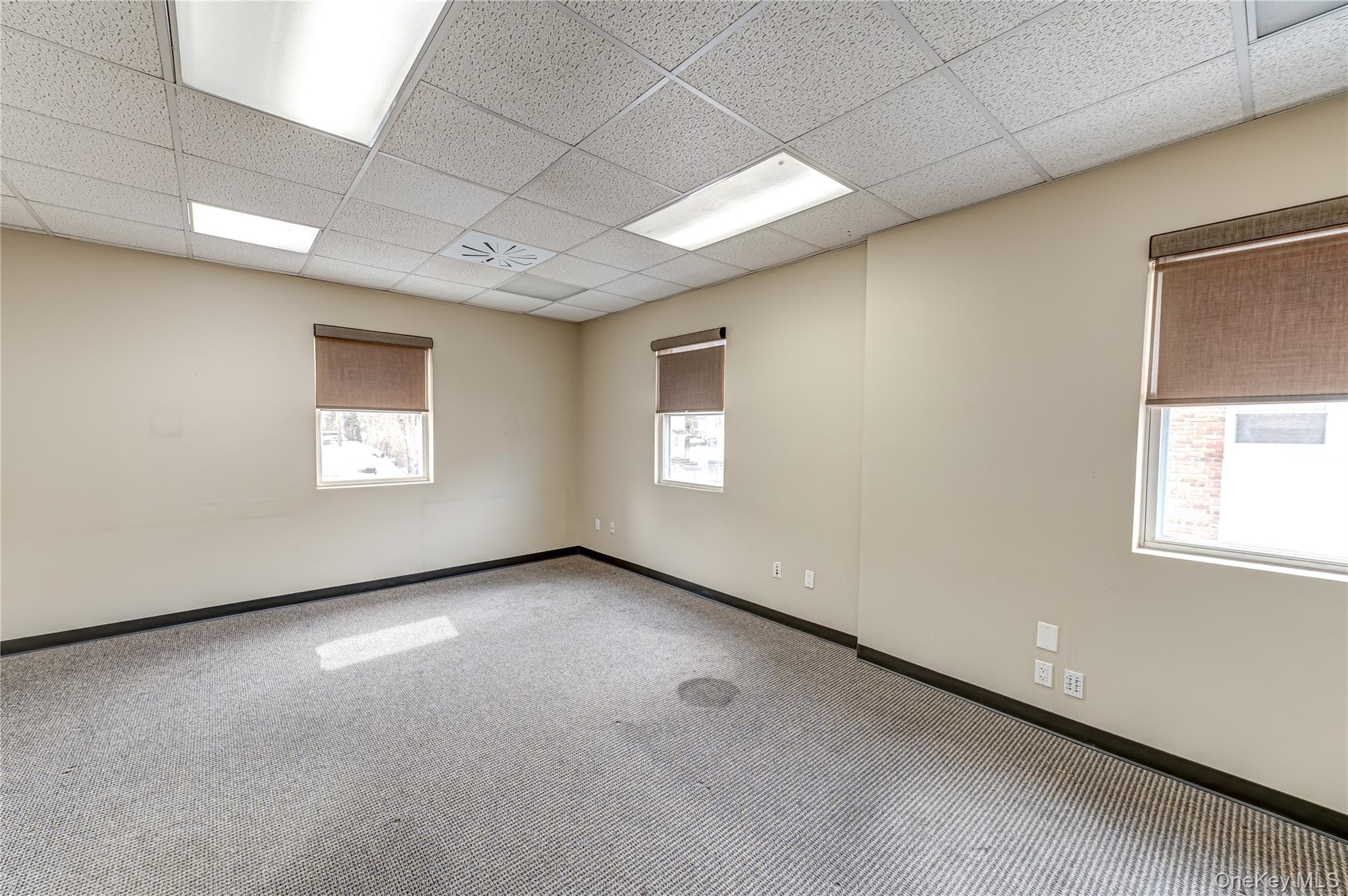 48 Elm Street – For Rent photo 16