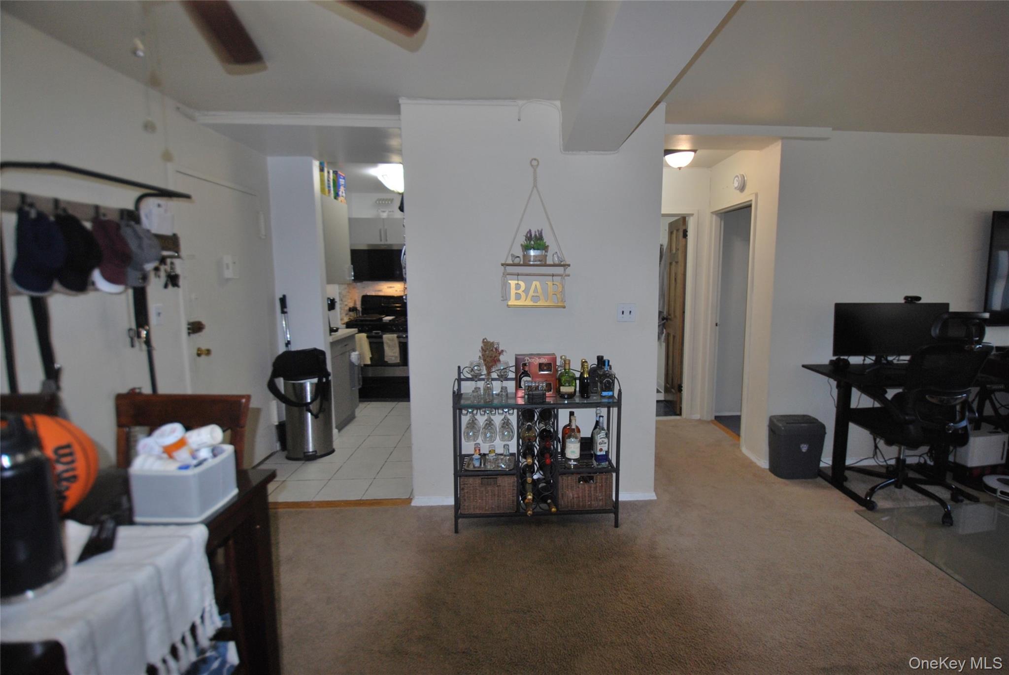 7 Balint Drive, Unit 521 photo 7