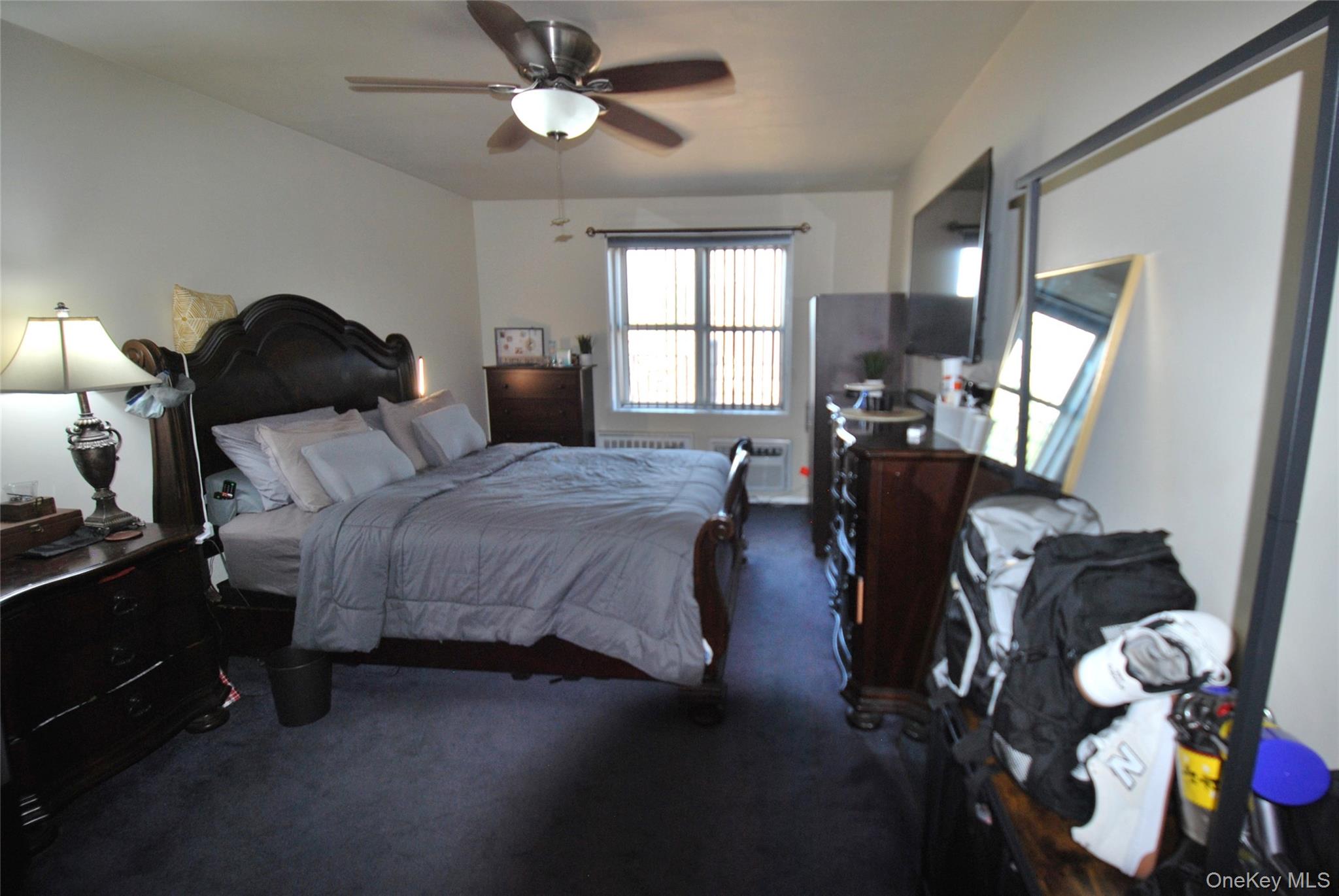 7 Balint Drive, Unit 521 photo 13
