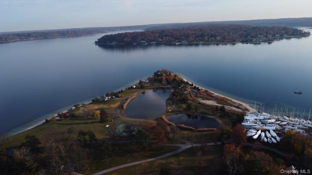 336 Mariposa Drive – For Rent photo 50
