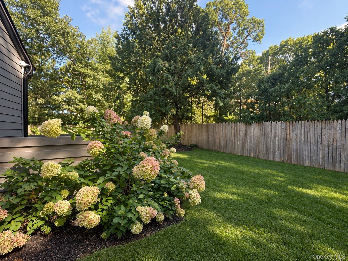 10 Hampton Street – For Rent photo 13