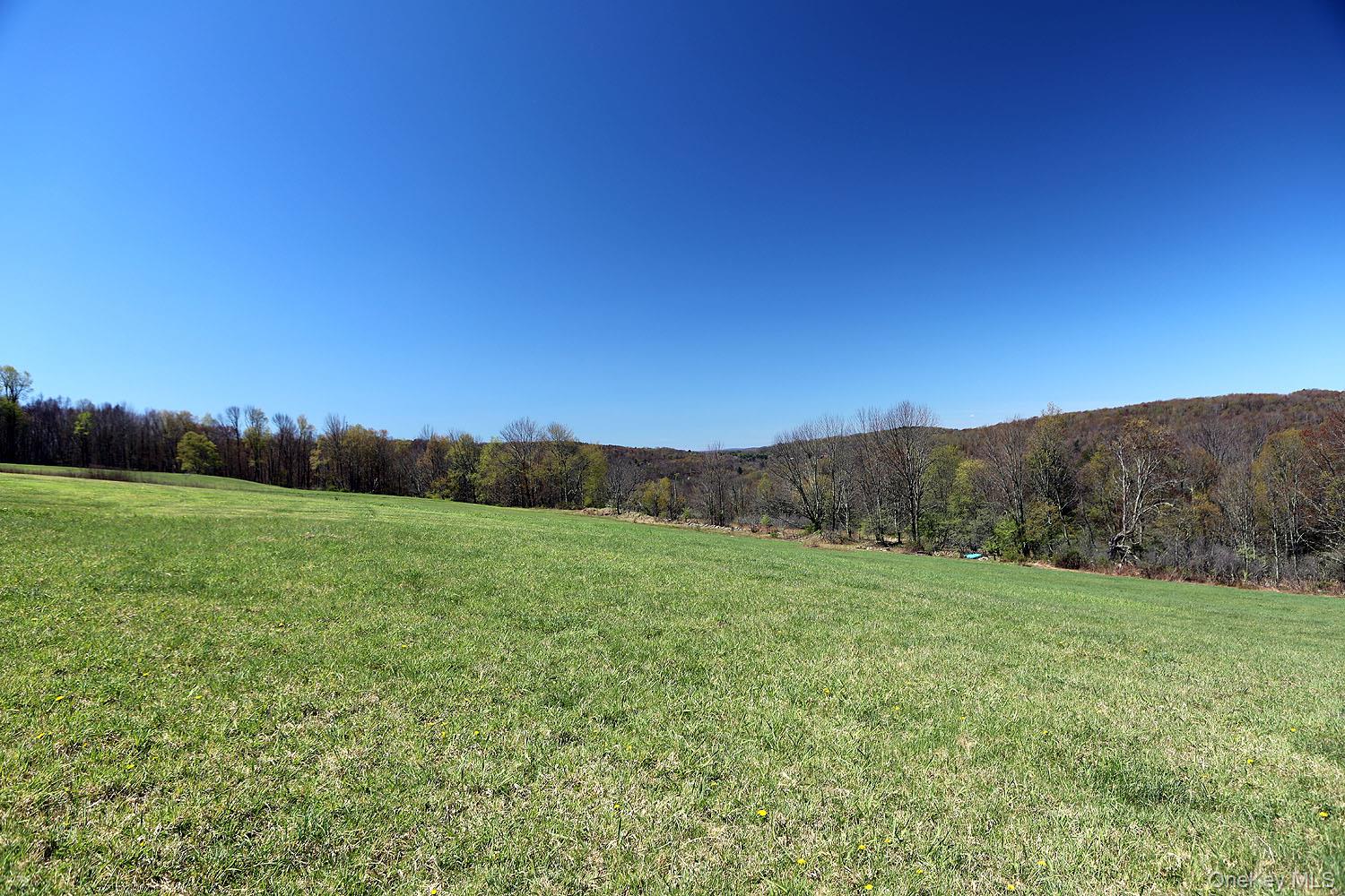 Hubert Road – For Sale photo 3