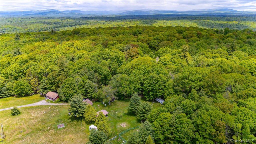 101 Red Star Road – For Sale photo 50