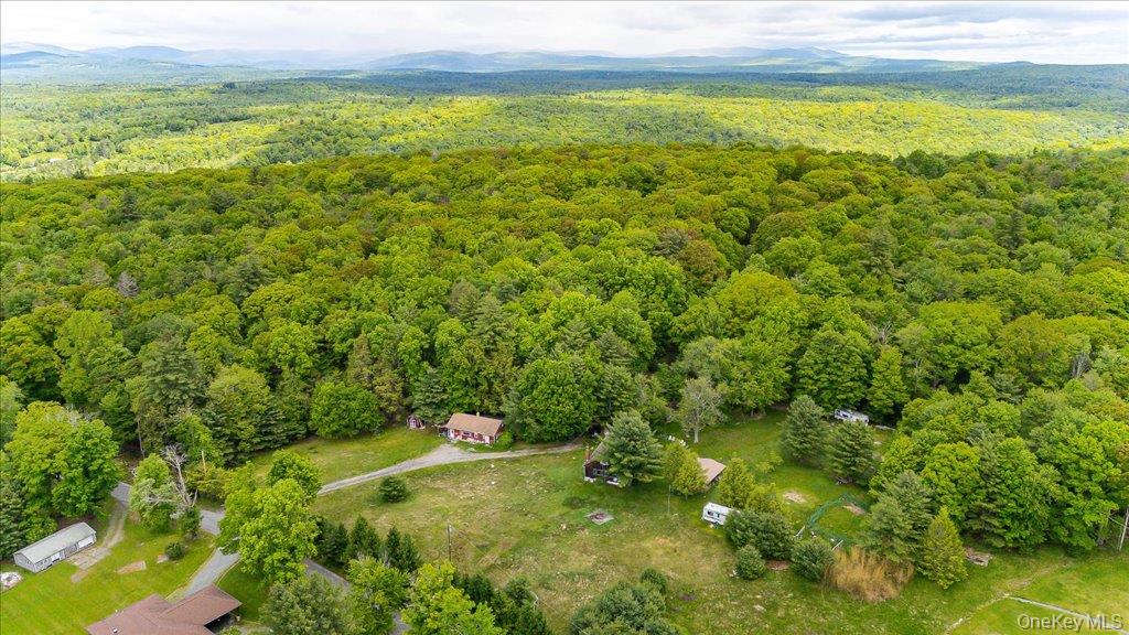 101 Red Star Road – For Sale photo 3