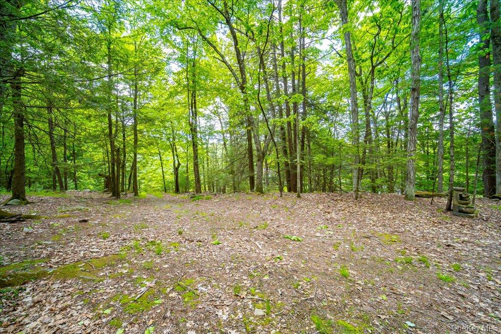 101 Red Star Road – For Sale photo 31