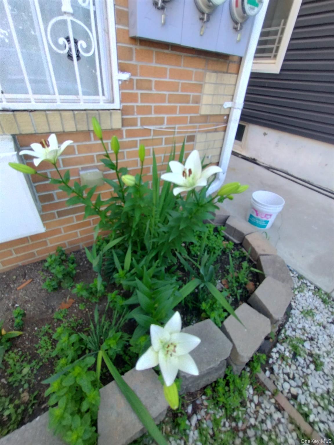 933 Tilden Street – For Sale photo 3