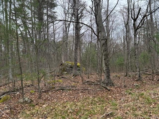 Lot 32 Woodstone Trail – For Sale photo 11