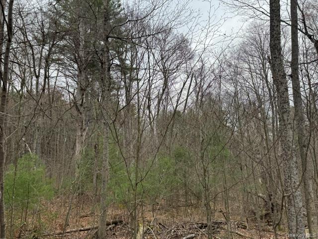 Lot 32 Woodstone Trail – For Sale photo 14