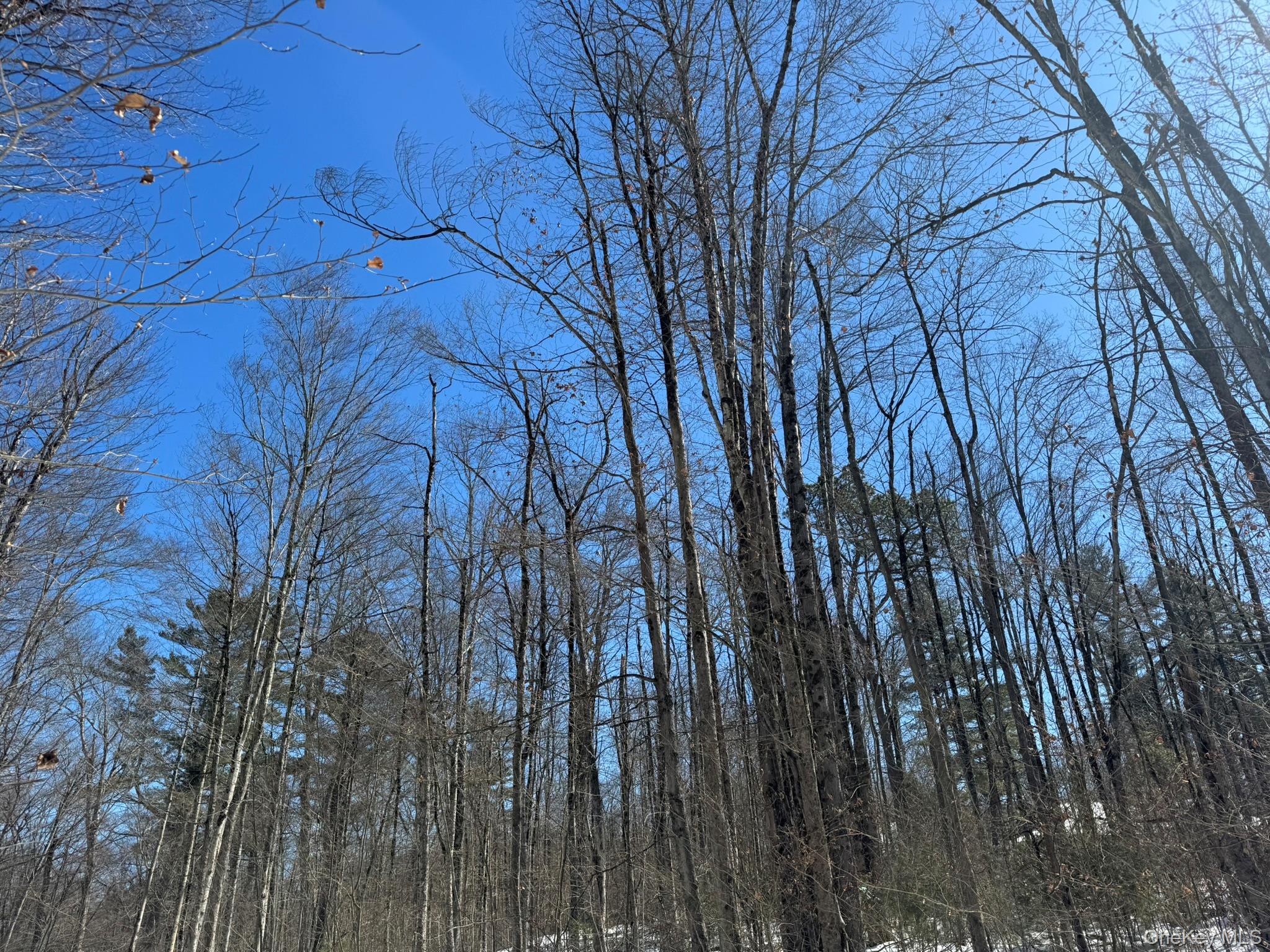 Lot 32 Woodstone Trail – For Sale photo 6