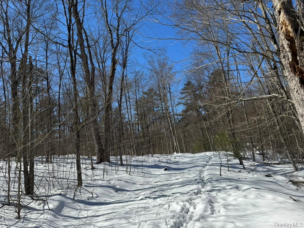 Lot 32 Woodstone Trail – For Sale photo 9