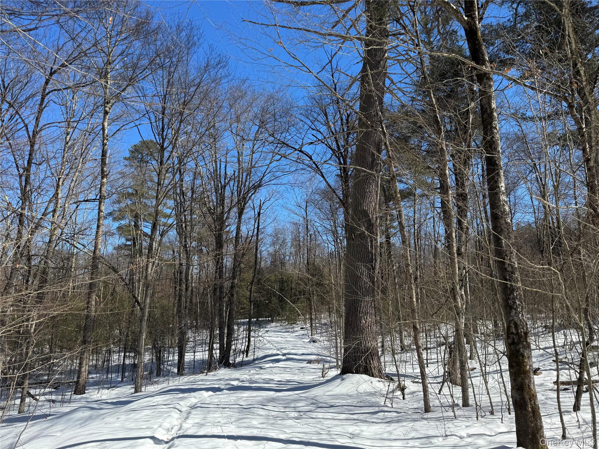 Lot 32 Woodstone Trail – For Sale photo 12