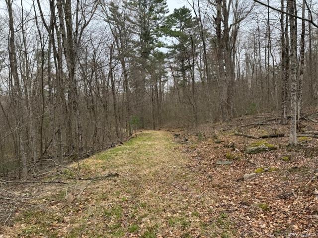 Lot 32 Woodstone Trail – For Sale photo 2