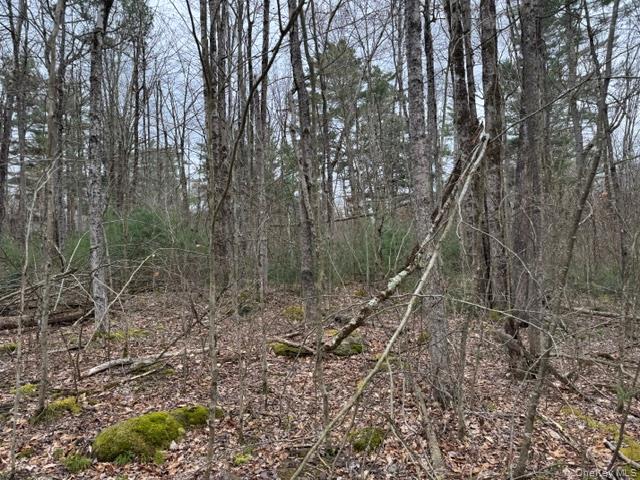Lot 32 Woodstone Trail – For Sale photo 13