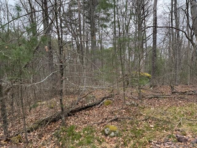 Lot 32 Woodstone Trail – For Sale photo 10