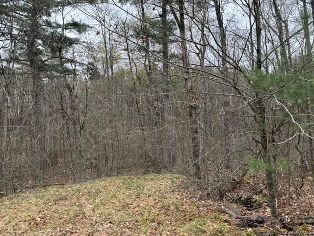 Lot 32 Woodstone Trail – For Sale photo 8