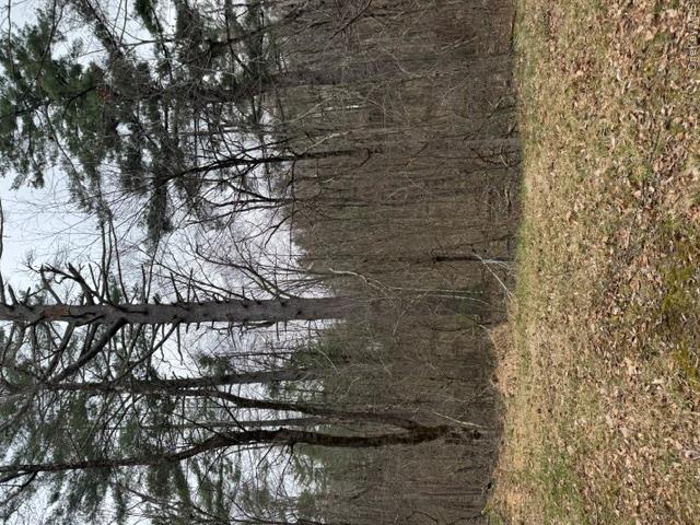 Lot 32 Woodstone Trail – For Sale photo 5