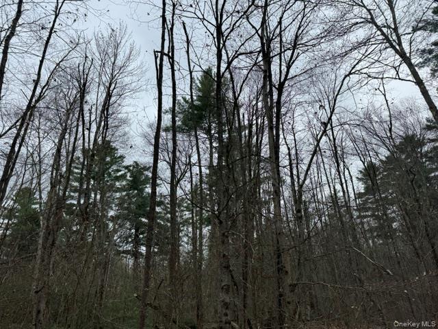 Lot 32 Woodstone Trail – For Sale photo 4