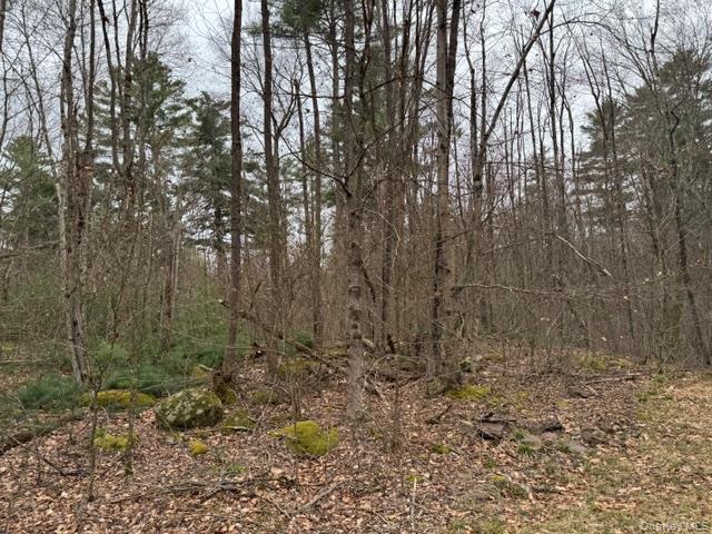 Lot 32 Woodstone Trail – For Sale photo 3