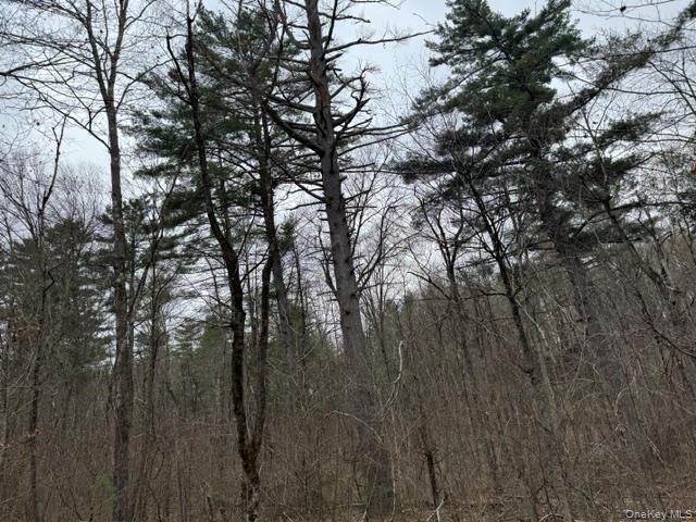 Lot 32 Woodstone Trail – For Sale photo 7