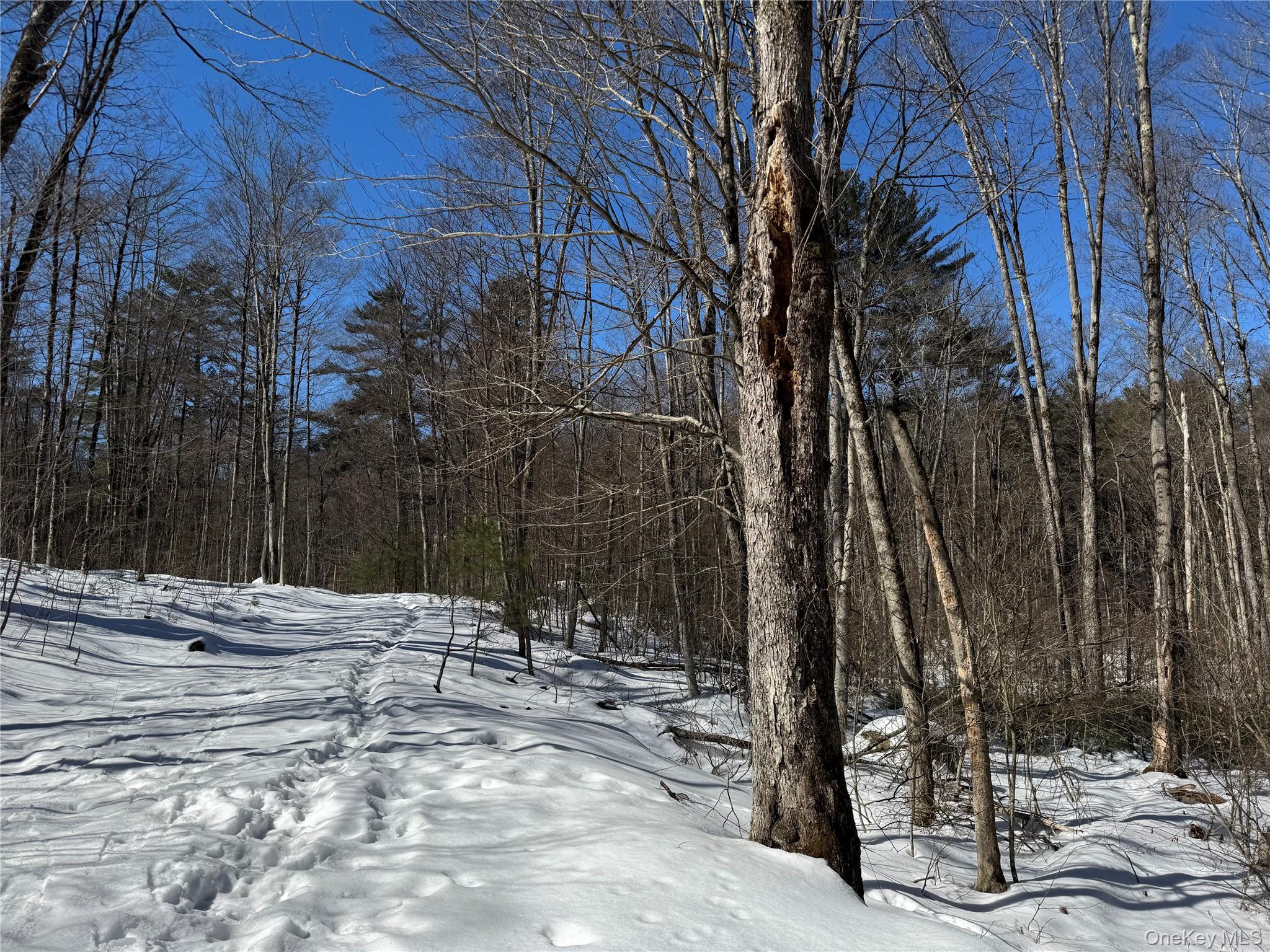 Lot 32 Woodstone Trail – For Sale
