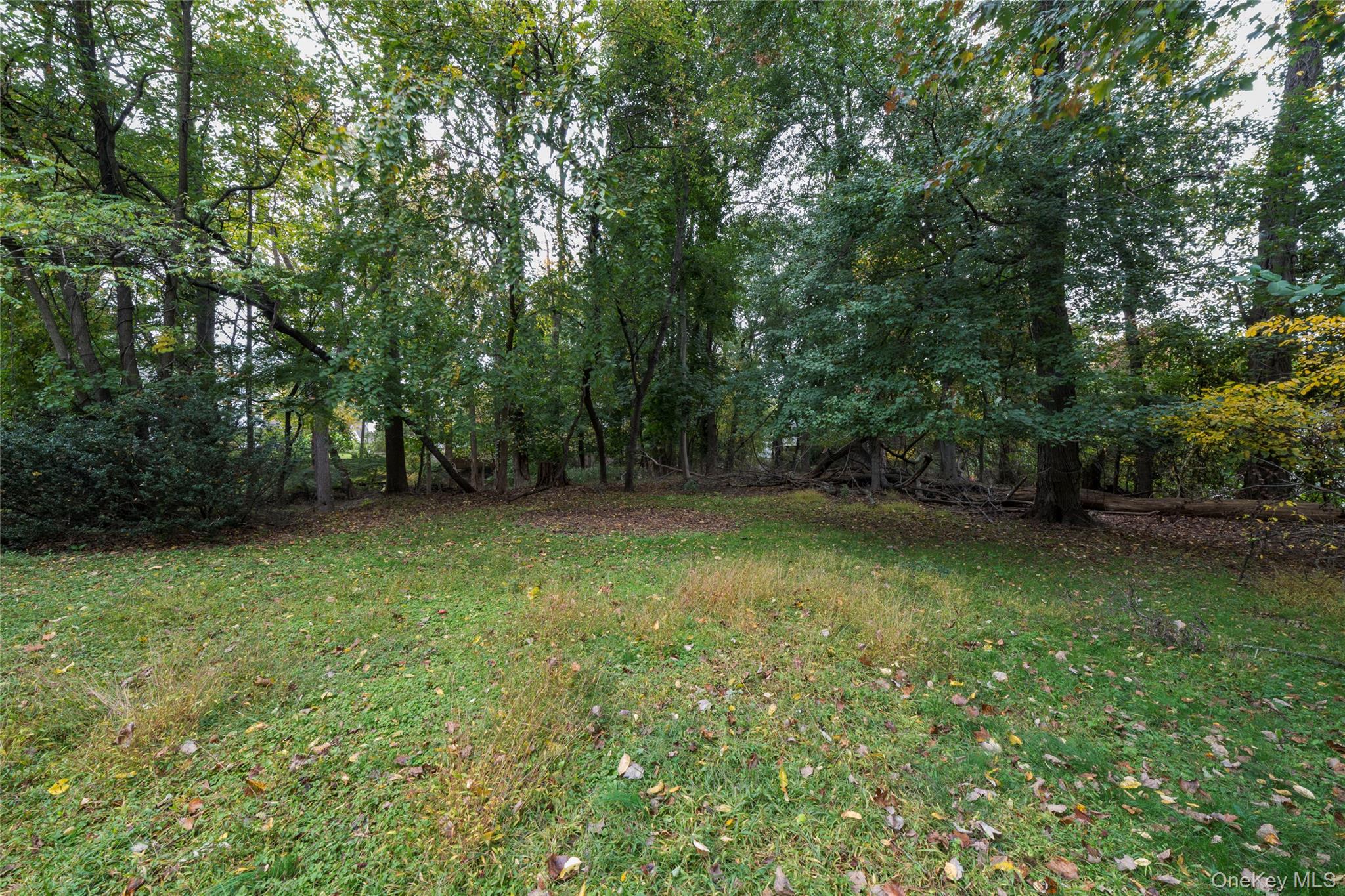 58 Babcock Lane – For Sale photo 30
